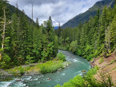 Olympic National Park - Photo 2