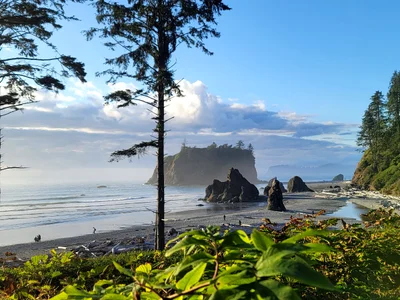 Olympic National Park - Photo 3
