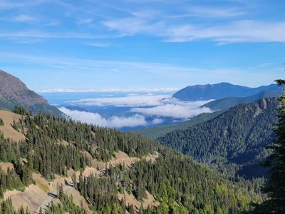 Olympic National Park - Photo 4