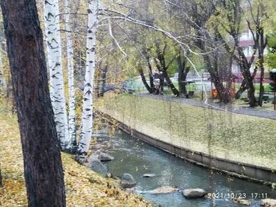 Belokurikha - Photo 2