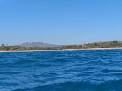 Alor - Photo 2
