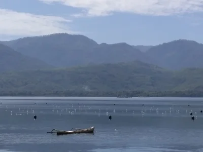 Alor - Photo 3