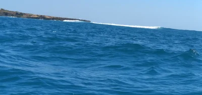Alor - Photo 4