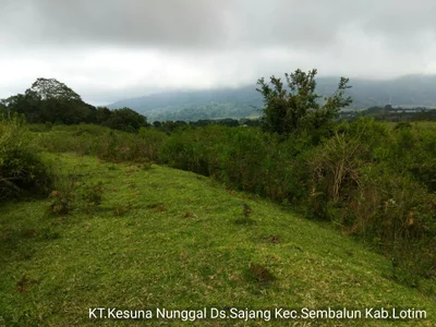 Sajang - Photo 2