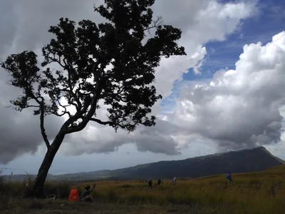 Sajang - Photo 3