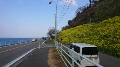 Iyo - Photo 3