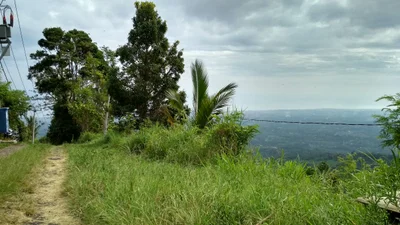 Tegallinggah - Photo 2