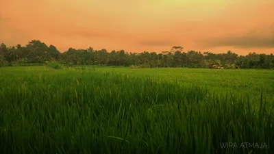 Getasan - Photo 2