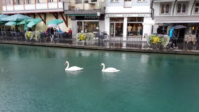 Thun - Photo 3