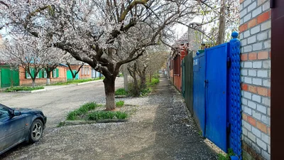 Yeysk - Photo 2