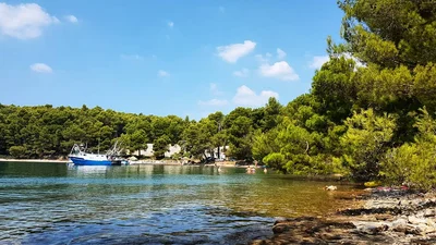 Grad Pula - Photo 5