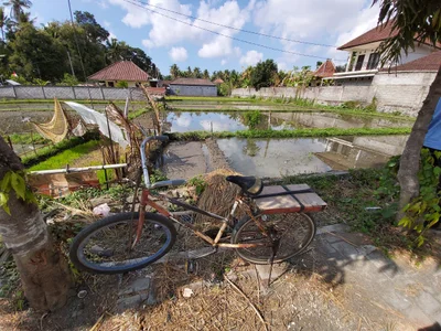 Batubulan - Photo 4
