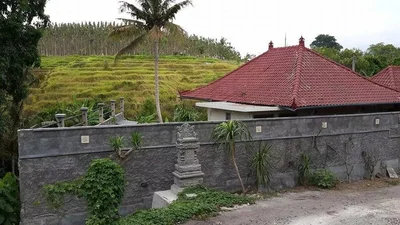 Batubulan - Photo 5