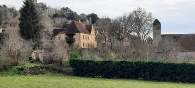 Les Eyzies - Photo 2