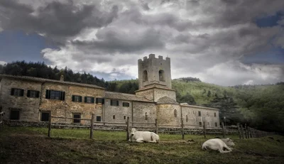 Gaiole in Chianti - Photo 4