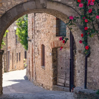 Gaiole in Chianti - Photo 5