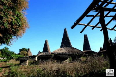 Sumba Barat Daya - Photo 3