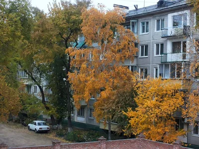 Blagoveshchensk - Photo 4
