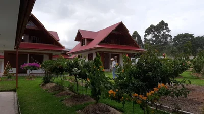 Pozuzo - Photo 5
