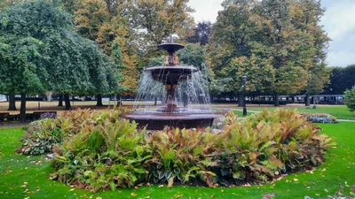 Norrköping - Photo 4