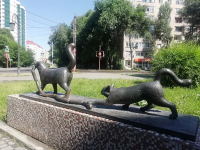 Abakan - Photo 4