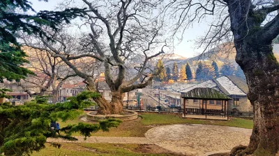 Metsovo - Photo 2