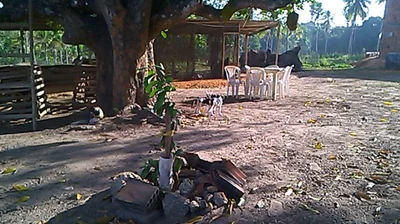 Itaporanga d'Ajuda - Photo 5