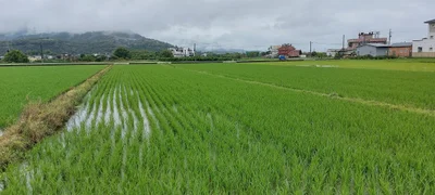 Yuanshan - Photo 3