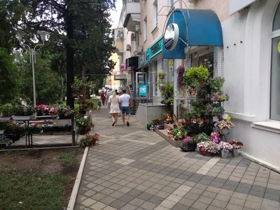 Tuapse - Photo 4
