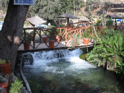 Ingenio - Photo 2