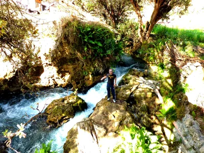 Ingenio - Photo 4