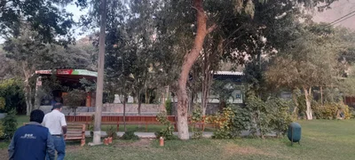 Ate - Photo 2