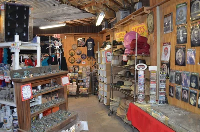 Oatman - Photo 2
