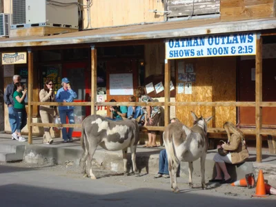 Oatman - Photo 4