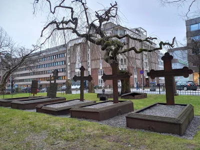 Bergen - Photo 3