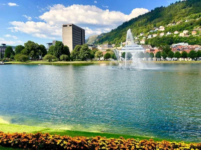 Bergen - Photo 4