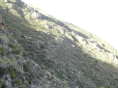 Usnu - Photo 5