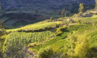 Huancaraylla - Photo 3