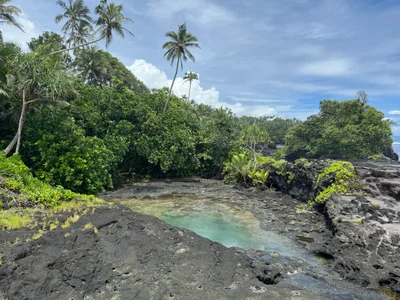 Sauano - Photo 2