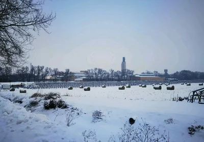 Harbin - Photo 3
