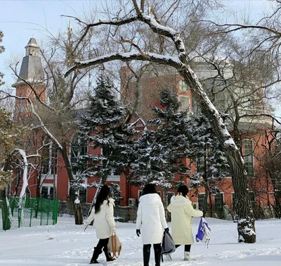Harbin - Photo 5