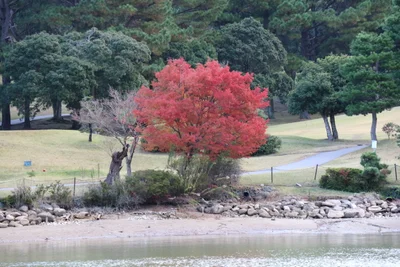 Hisayama - Photo 5
