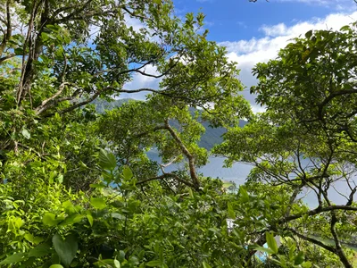 Blunts Point Trail - Photo 2