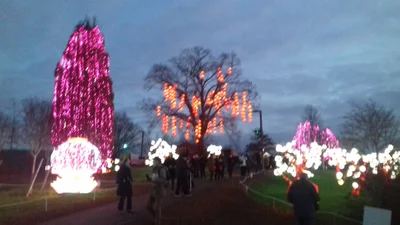 Blagnac - Photo 5