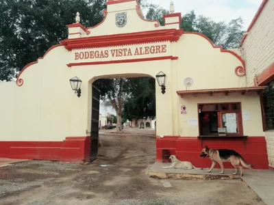 Vista Alegre - Photo 4