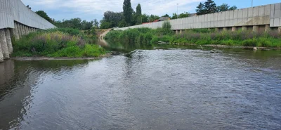 Gemeinde Schwechat - Photo 4