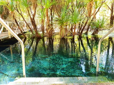 Roper Gulf Region - Photo 4