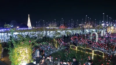 Ashikaga - Photo 3