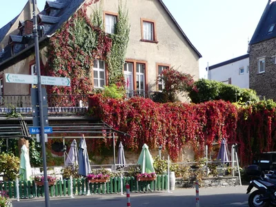 Traben-Trarbach - Photo 2