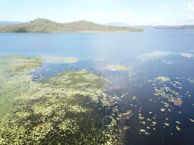 Mareeba Shire - Photo 4